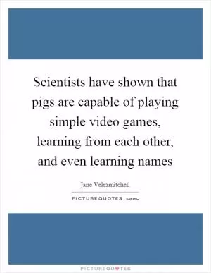 Scientists have shown that pigs are capable of playing simple video games, learning from each other, and even learning names Picture Quote #1