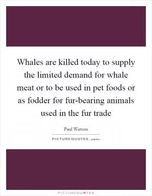 Whales are killed today to supply the limited demand for whale meat or to be used in pet foods or as fodder for fur-bearing animals used in the fur trade Picture Quote #1