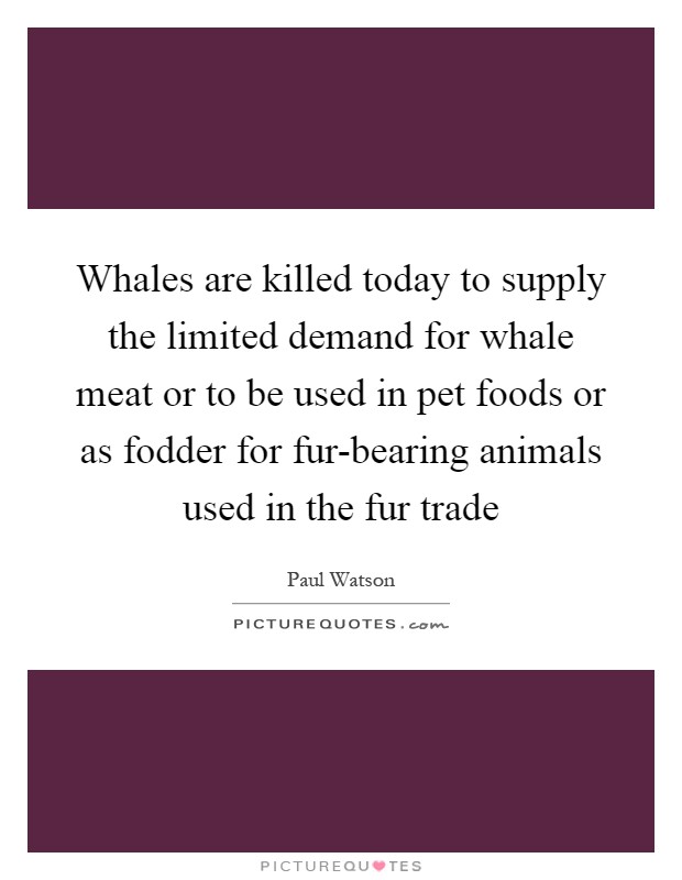 Whales are killed today to supply the limited demand for whale meat or to be used in pet foods or as fodder for fur-bearing animals used in the fur trade Picture Quote #1