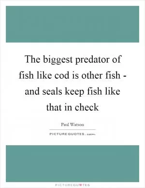 The biggest predator of fish like cod is other fish - and seals keep fish like that in check Picture Quote #1