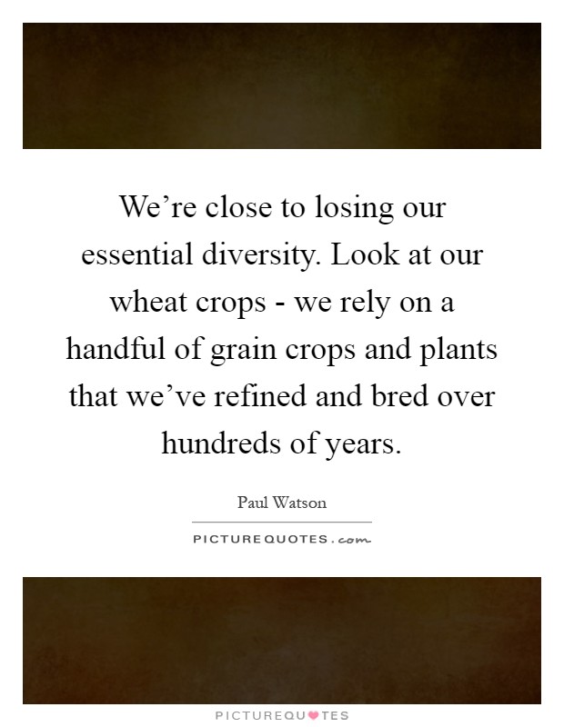 We're close to losing our essential diversity. Look at our wheat crops - we rely on a handful of grain crops and plants that we've refined and bred over hundreds of years Picture Quote #1