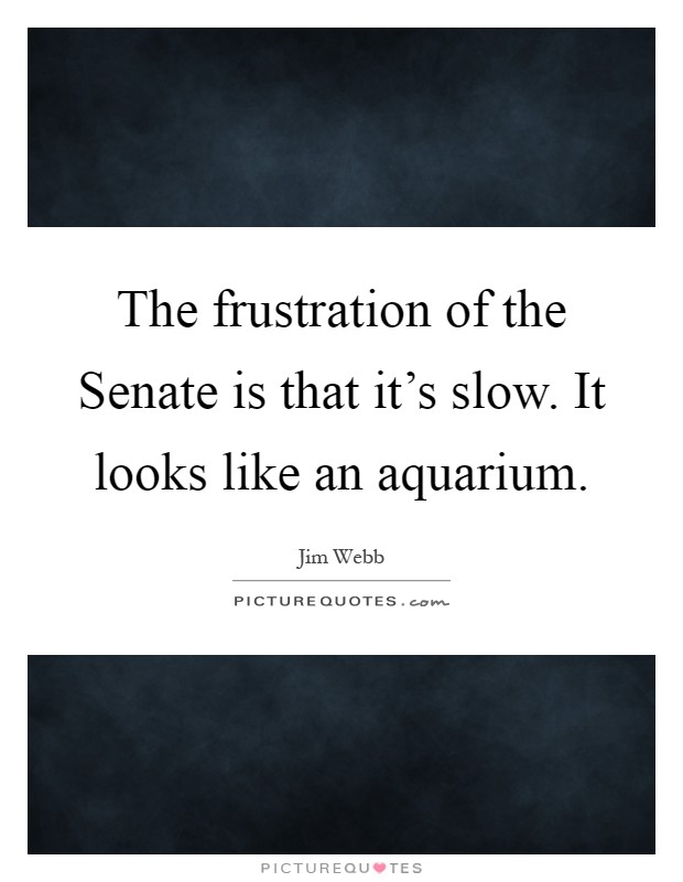 The frustration of the Senate is that it's slow. It looks like an aquarium Picture Quote #1