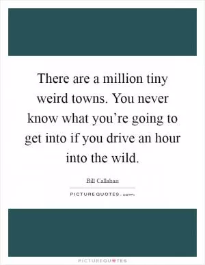 There are a million tiny weird towns. You never know what you’re going to get into if you drive an hour into the wild Picture Quote #1