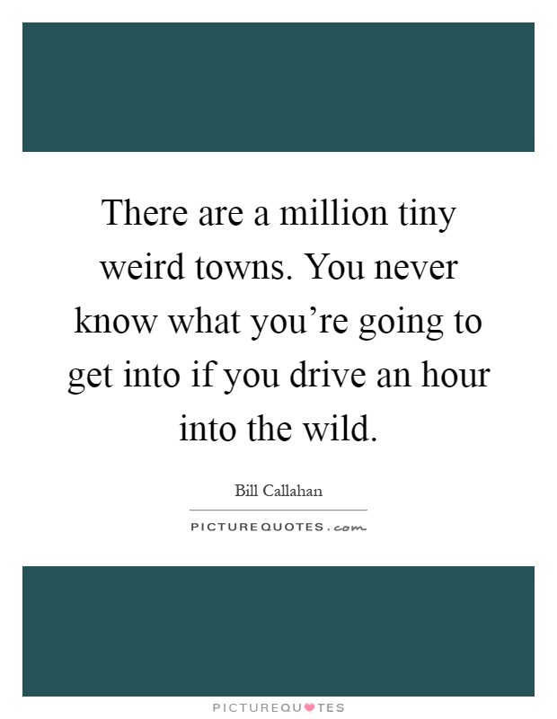 There are a million tiny weird towns. You never know what you're going to get into if you drive an hour into the wild Picture Quote #1
