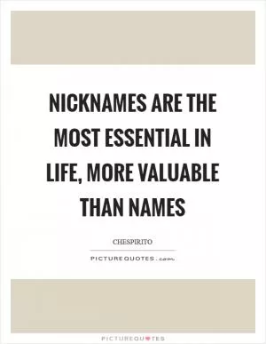 Nicknames are the most essential in life, more valuable than names Picture Quote #1