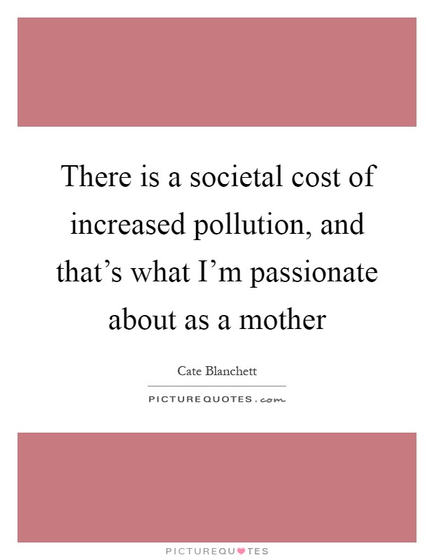 There is a societal cost of increased pollution, and that's what I'm passionate about as a mother Picture Quote #1