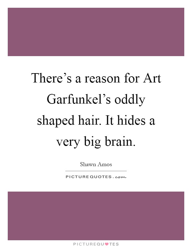 There's a reason for Art Garfunkel's oddly shaped hair. It hides a very big brain Picture Quote #1