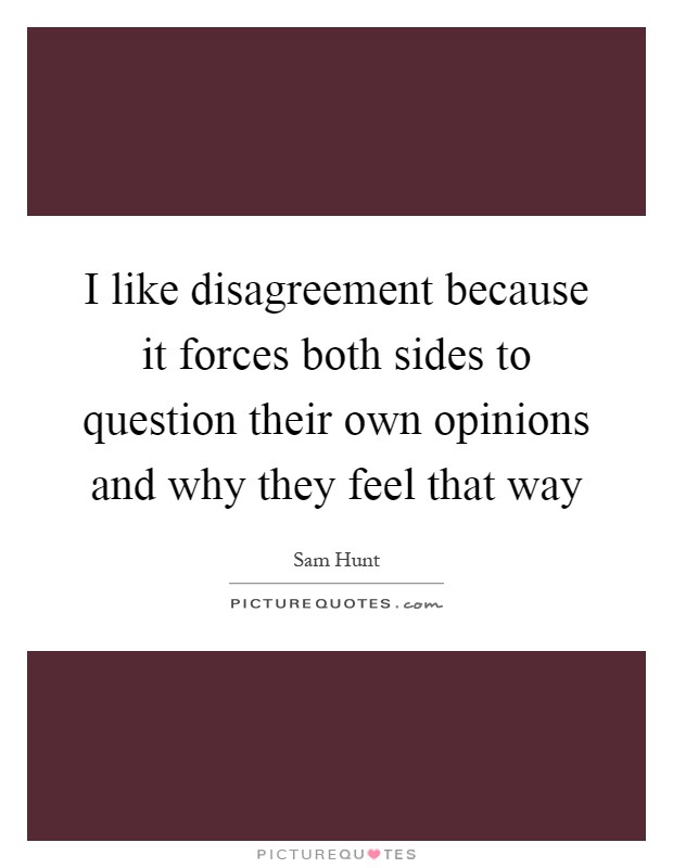 I like disagreement because it forces both sides to question their own opinions and why they feel that way Picture Quote #1