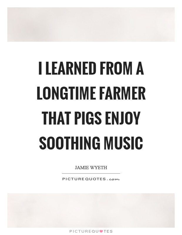 I learned from a longtime farmer that pigs enjoy soothing music Picture Quote #1