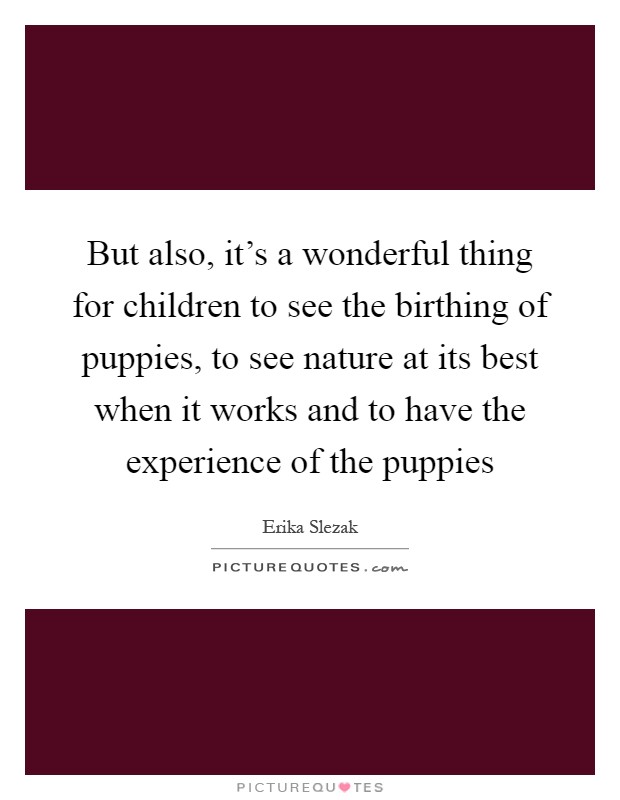 But also, it's a wonderful thing for children to see the birthing of puppies, to see nature at its best when it works and to have the experience of the puppies Picture Quote #1