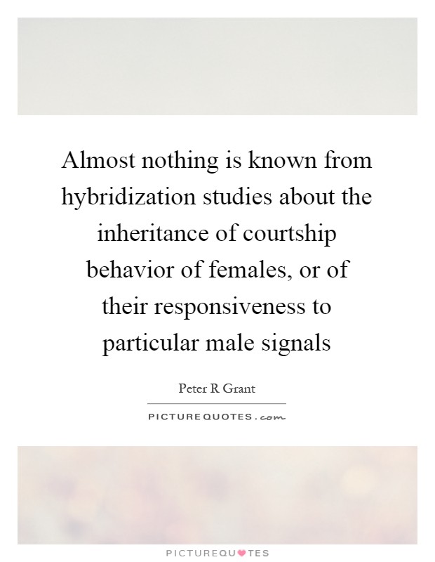 Almost nothing is known from hybridization studies about the inheritance of courtship behavior of females, or of their responsiveness to particular male signals Picture Quote #1