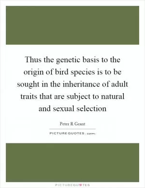 Thus the genetic basis to the origin of bird species is to be sought in the inheritance of adult traits that are subject to natural and sexual selection Picture Quote #1