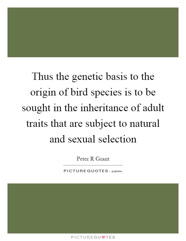 Thus the genetic basis to the origin of bird species is to be sought in the inheritance of adult traits that are subject to natural and sexual selection Picture Quote #1