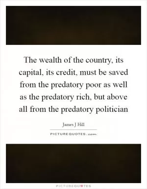 The wealth of the country, its capital, its credit, must be saved from the predatory poor as well as the predatory rich, but above all from the predatory politician Picture Quote #1