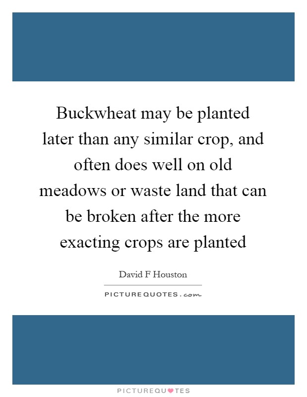 Buckwheat may be planted later than any similar crop, and often does well on old meadows or waste land that can be broken after the more exacting crops are planted Picture Quote #1