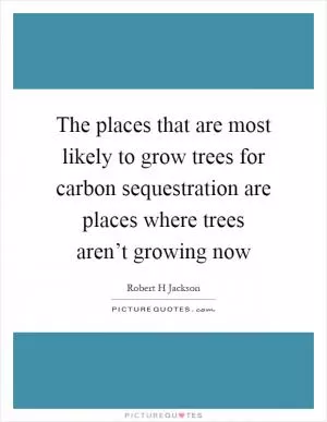 The places that are most likely to grow trees for carbon sequestration are places where trees aren’t growing now Picture Quote #1