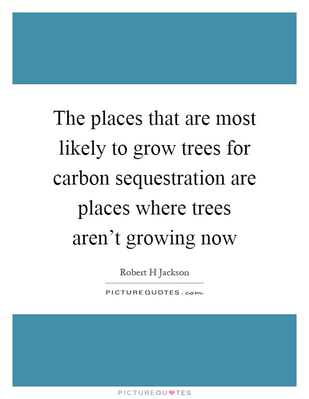 The places that are most likely to grow trees for carbon sequestration are places where trees aren't growing now Picture Quote #1