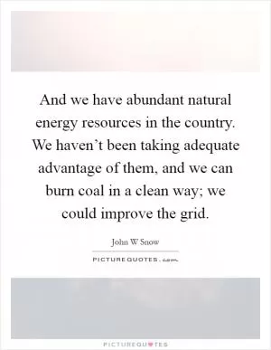 And we have abundant natural energy resources in the country. We haven’t been taking adequate advantage of them, and we can burn coal in a clean way; we could improve the grid Picture Quote #1