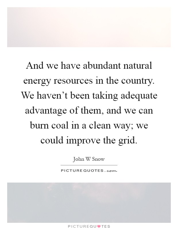 And we have abundant natural energy resources in the country. We haven't been taking adequate advantage of them, and we can burn coal in a clean way; we could improve the grid Picture Quote #1