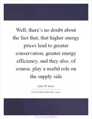Well, there’s no doubt about the fact that, that higher energy prices lead to greater conservation, greater energy efficiency, and they also, of course, play a useful role on the supply side Picture Quote #1