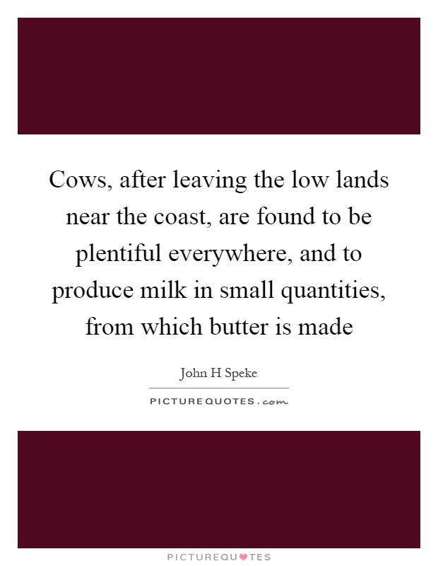 Cows, after leaving the low lands near the coast, are found to be plentiful everywhere, and to produce milk in small quantities, from which butter is made Picture Quote #1