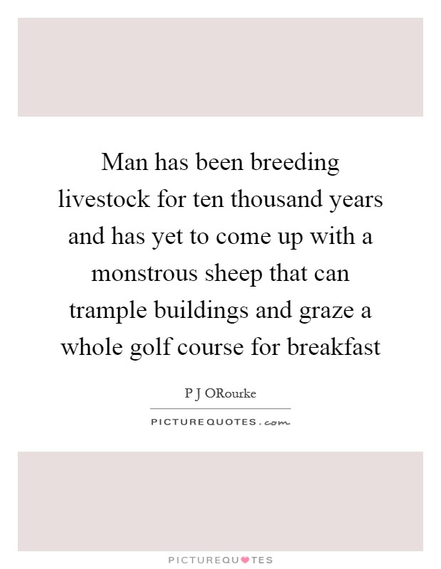 Man has been breeding livestock for ten thousand years and has yet to come up with a monstrous sheep that can trample buildings and graze a whole golf course for breakfast Picture Quote #1