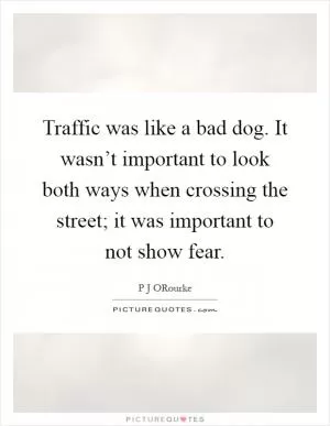 Traffic was like a bad dog. It wasn’t important to look both ways when crossing the street; it was important to not show fear Picture Quote #1