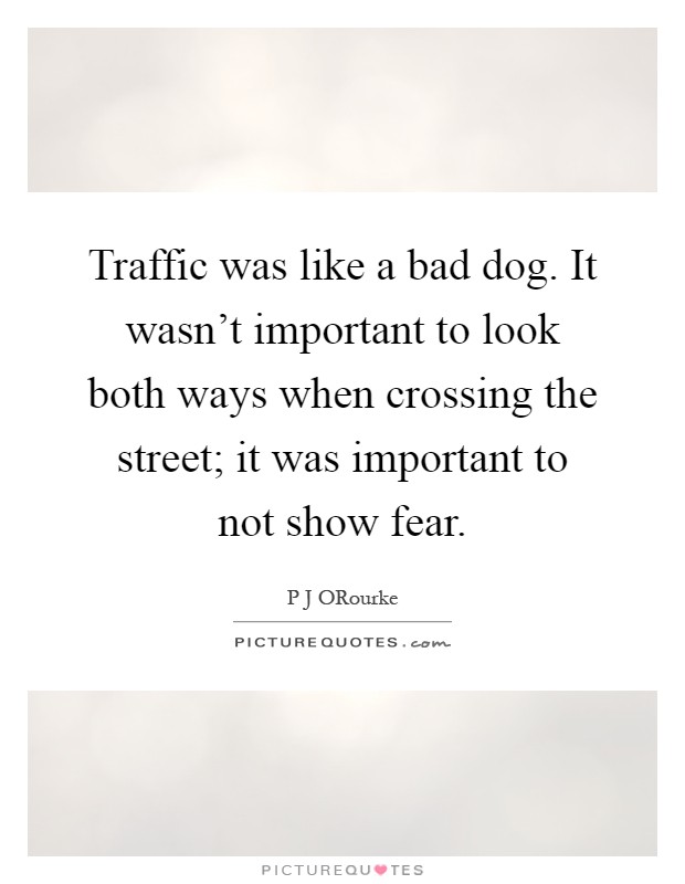 Traffic was like a bad dog. It wasn't important to look both ways when crossing the street; it was important to not show fear Picture Quote #1