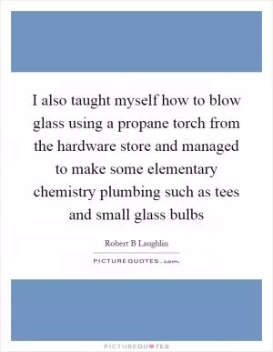 I also taught myself how to blow glass using a propane torch from the hardware store and managed to make some elementary chemistry plumbing such as tees and small glass bulbs Picture Quote #1