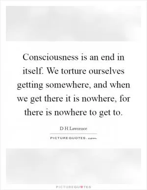 Consciousness is an end in itself. We torture ourselves getting somewhere, and when we get there it is nowhere, for there is nowhere to get to Picture Quote #1