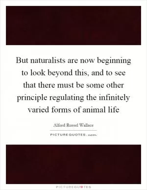 But naturalists are now beginning to look beyond this, and to see that there must be some other principle regulating the infinitely varied forms of animal life Picture Quote #1