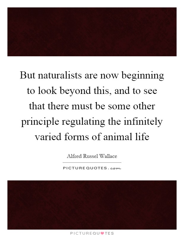 But naturalists are now beginning to look beyond this, and to see that there must be some other principle regulating the infinitely varied forms of animal life Picture Quote #1