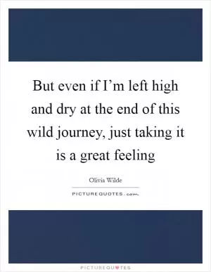 But even if I’m left high and dry at the end of this wild journey, just taking it is a great feeling Picture Quote #1