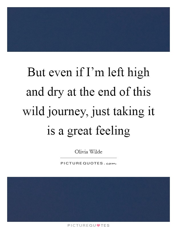 But even if I'm left high and dry at the end of this wild journey, just taking it is a great feeling Picture Quote #1