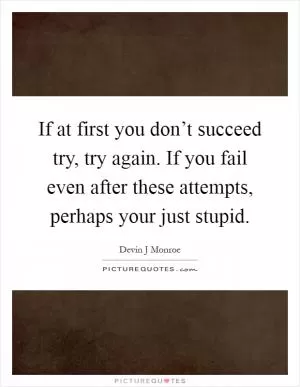 If at first you don’t succeed try, try again. If you fail even after these attempts, perhaps your just stupid Picture Quote #1