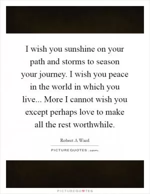 I wish you sunshine on your path and storms to season your journey. I wish you peace in the world in which you live... More I cannot wish you except perhaps love to make all the rest worthwhile Picture Quote #1