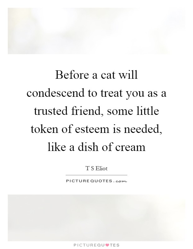 Before a cat will condescend to treat you as a trusted friend, some little token of esteem is needed, like a dish of cream Picture Quote #1