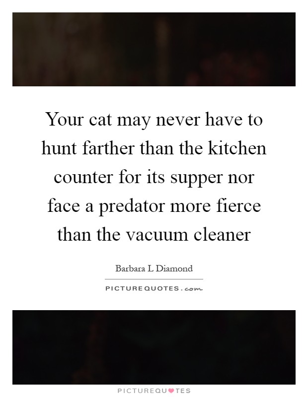 Your cat may never have to hunt farther than the kitchen counter for its supper nor face a predator more fierce than the vacuum cleaner Picture Quote #1