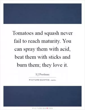Tomatoes and squash never fail to reach maturity. You can spray them with acid, beat them with sticks and burn them; they love it Picture Quote #1
