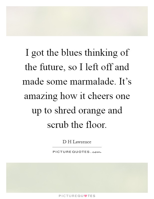 I got the blues thinking of the future, so I left off and made some marmalade. It's amazing how it cheers one up to shred orange and scrub the floor Picture Quote #1