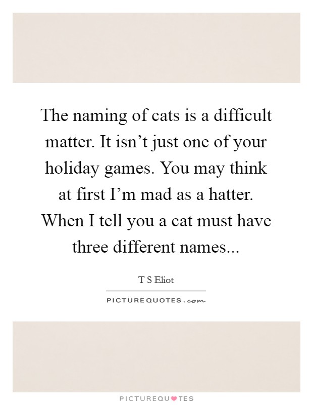 The naming of cats is a difficult matter. It isn't just one of your holiday games. You may think at first I'm mad as a hatter. When I tell you a cat must have three different names Picture Quote #1