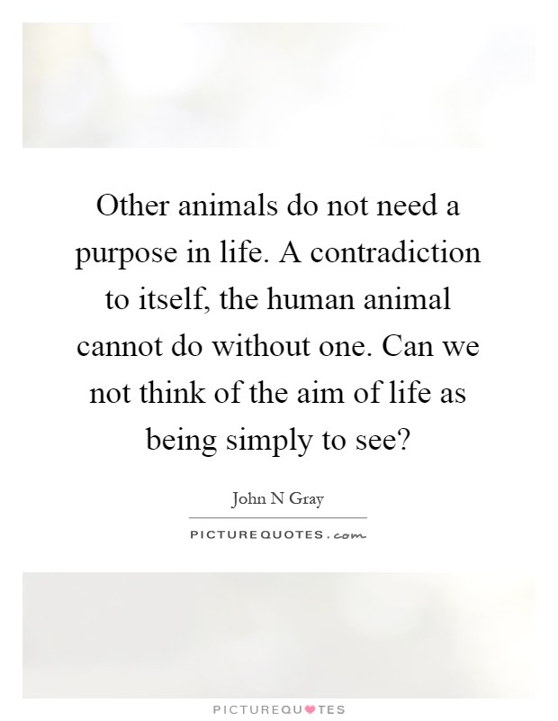 Other animals do not need a purpose in life. A contradiction to itself, the human animal cannot do without one. Can we not think of the aim of life as being simply to see? Picture Quote #1