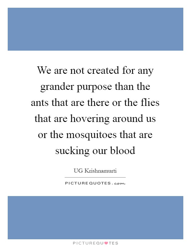 We are not created for any grander purpose than the ants that are there or the flies that are hovering around us or the mosquitoes that are sucking our blood Picture Quote #1