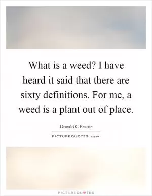What is a weed? I have heard it said that there are sixty definitions. For me, a weed is a plant out of place Picture Quote #1