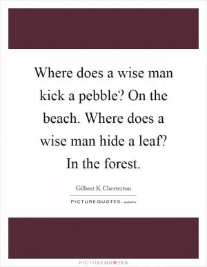 Where does a wise man kick a pebble? On the beach. Where does a wise man hide a leaf? In the forest Picture Quote #1