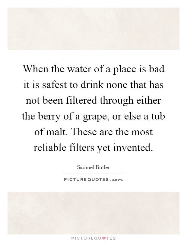When the water of a place is bad it is safest to drink none that has not been filtered through either the berry of a grape, or else a tub of malt. These are the most reliable filters yet invented Picture Quote #1