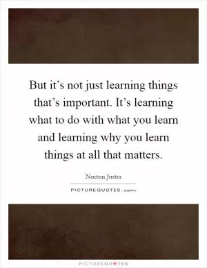 But it’s not just learning things that’s important. It’s learning what to do with what you learn and learning why you learn things at all that matters Picture Quote #1