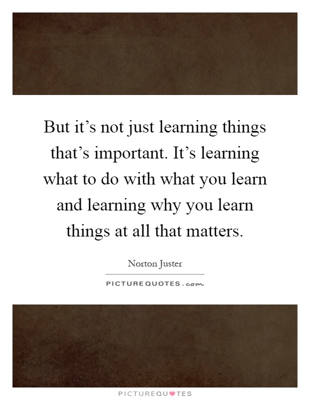 But it's not just learning things that's important. It's learning what to do with what you learn and learning why you learn things at all that matters Picture Quote #1