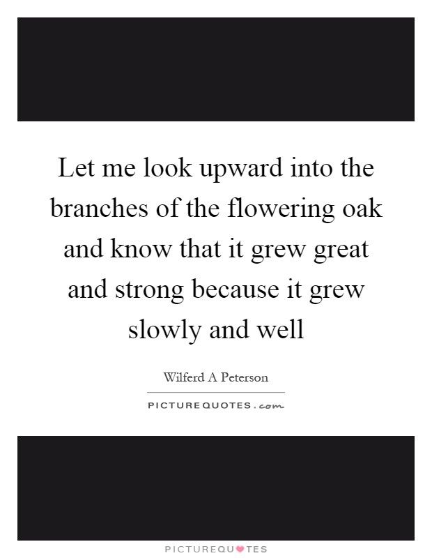 Let me look upward into the branches of the flowering oak and know that it grew great and strong because it grew slowly and well Picture Quote #1