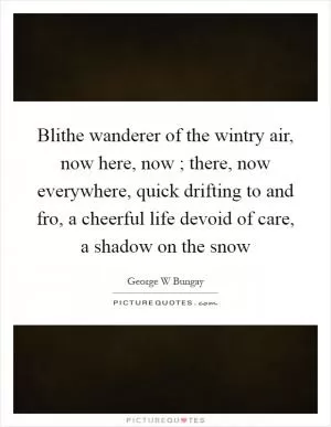 Blithe wanderer of the wintry air, now here, now ; there, now everywhere, quick drifting to and fro, a cheerful life devoid of care, a shadow on the snow Picture Quote #1
